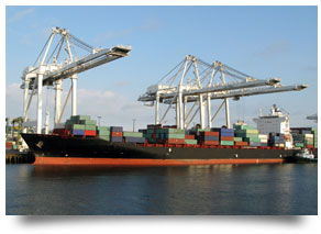 Supply Chain & Manufacturing